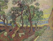 The Garden of Saint-Paul Hospital (nn04), Vincent Van Gogh
